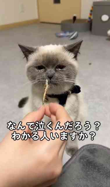 辛いことや弱音を吐き出そうかpart2