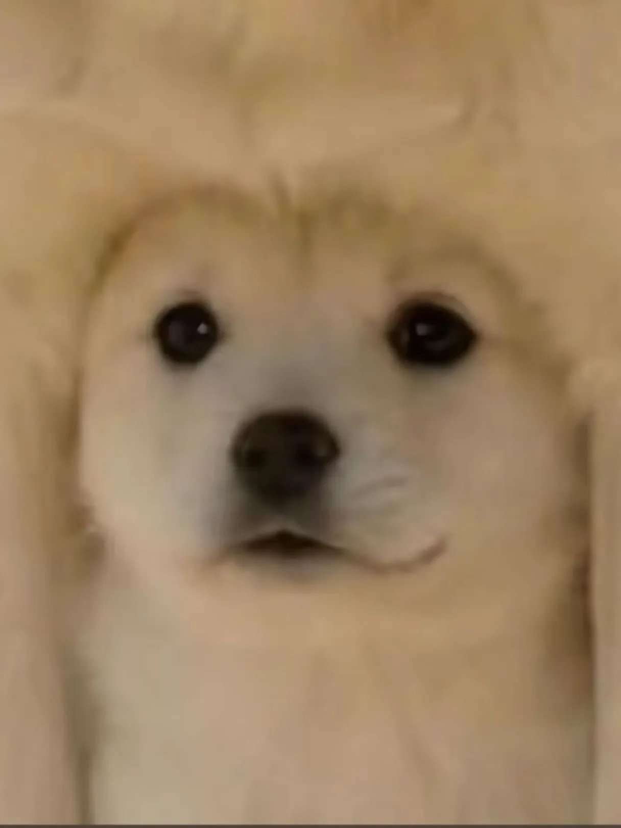 寂しい時にやりがちな事