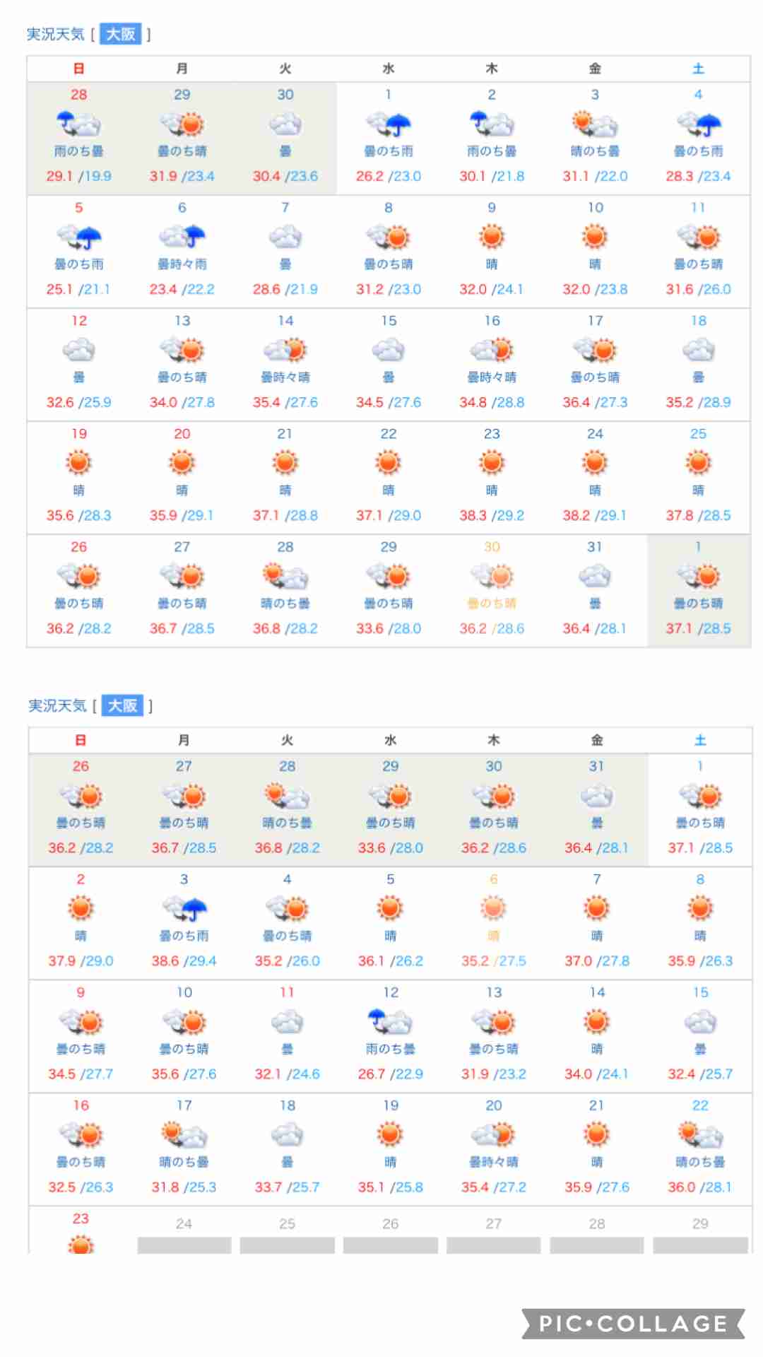 今年の夏、涼しくない?