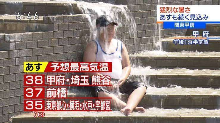 今年の夏、涼しくない?