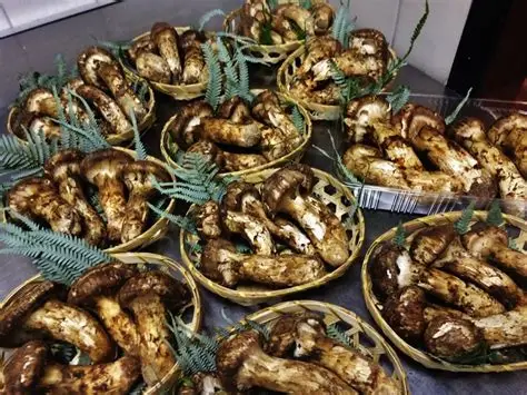 この秋、食べたいもの