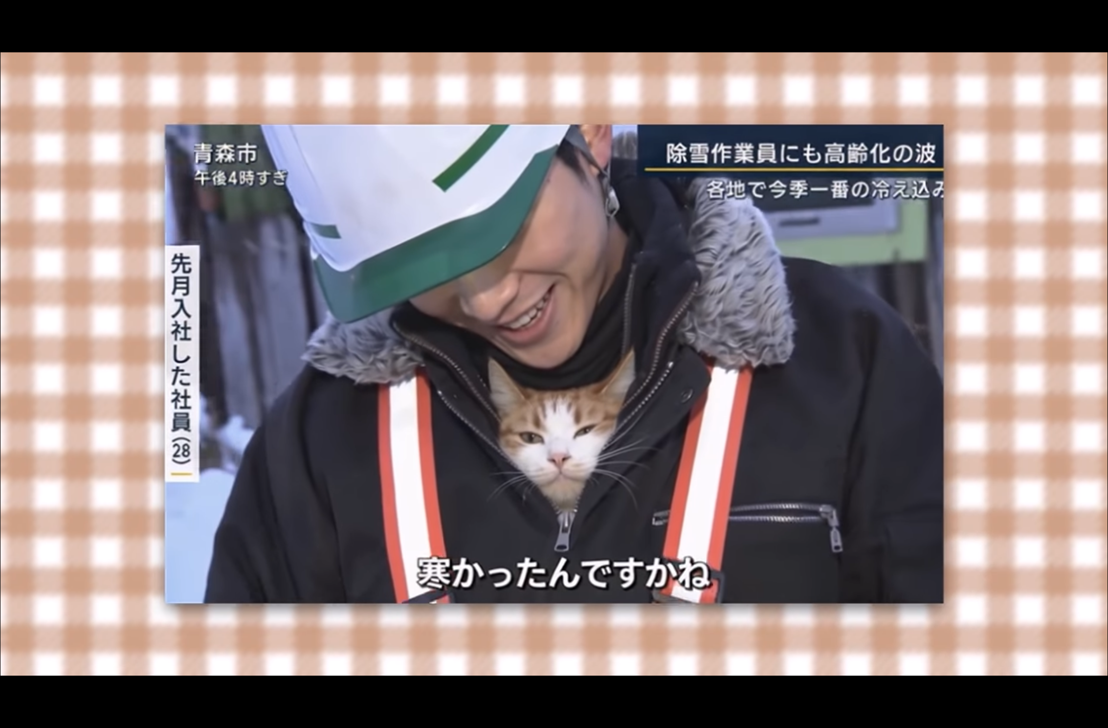 現場猫が誕生。ショベルカーに潜んでいた子猫が救助され、作業員の家族になる