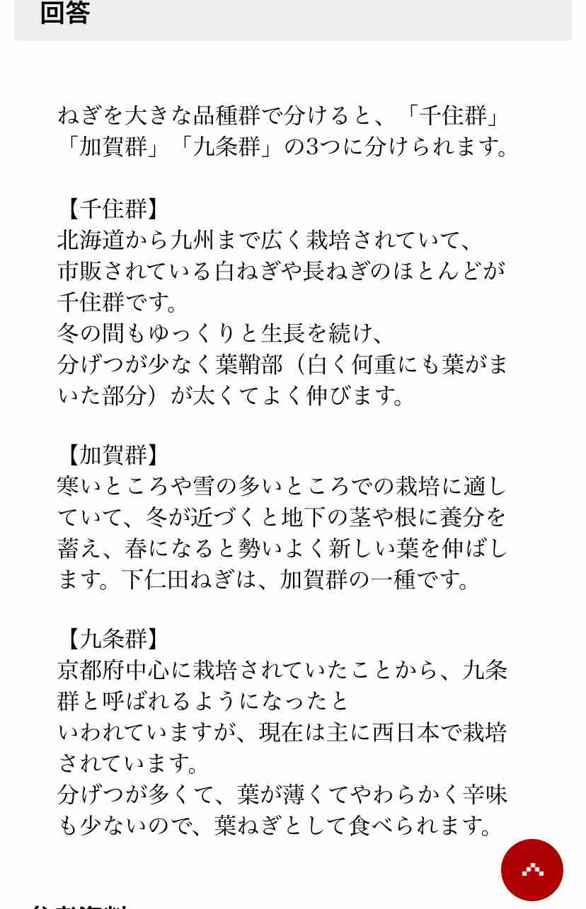 白ネギの青い部分の活用法