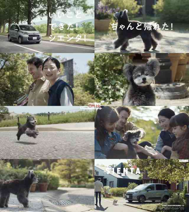 運転初心者におすすめの車