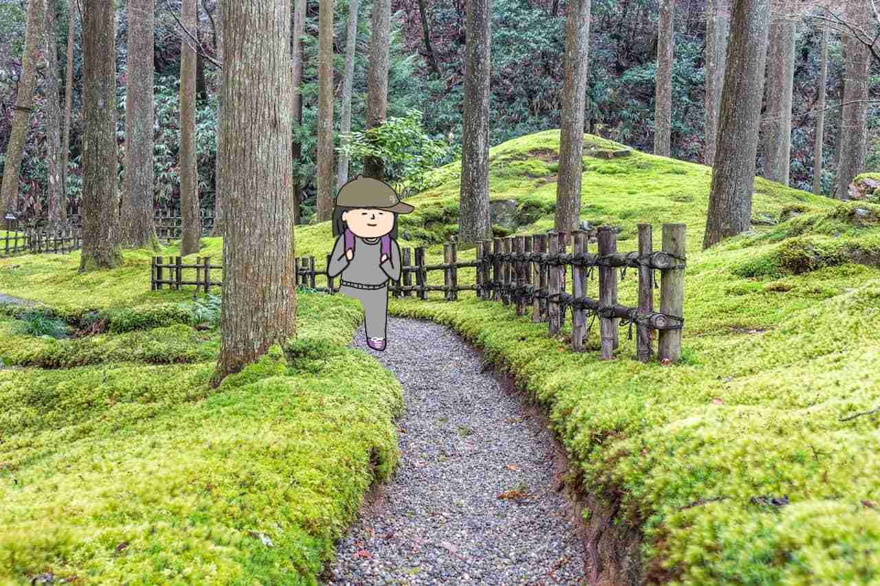 ソロ活で行ってみたい場所