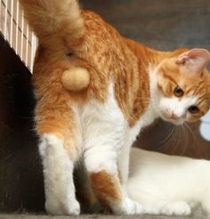 無言が続くトピ(たまにコメントあり)※名前欄へのコメントはOK【Part6】