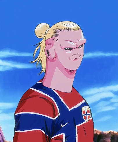 海外サッカー好きな方