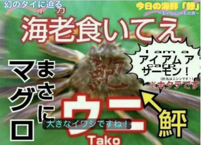 結局どれ？