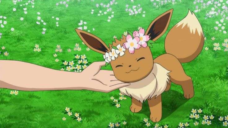 ポケモンと暮らすなら