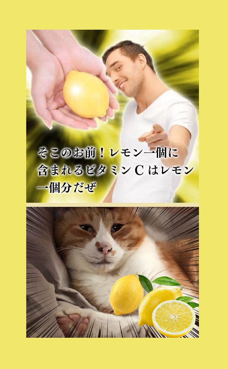 AndroidだけどiPhoneのここが羨ましい