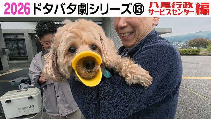 動物の可愛い、面白いエピソードや画像を貼るトピ