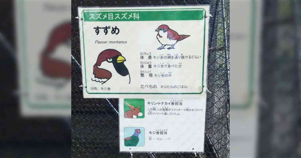 動物の可愛い、面白いエピソードや画像を貼るトピ