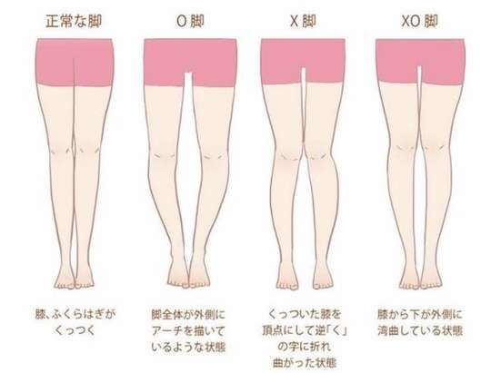 美脚の芸能人と言えば?