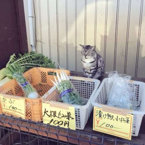 この店の店員さんはすごいなと思うこと