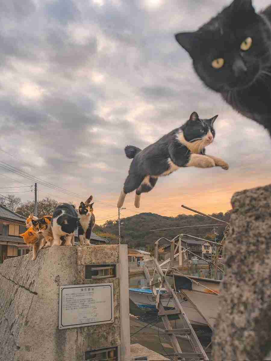 孫の運動会