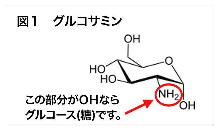 グルコサミン飲んでる人