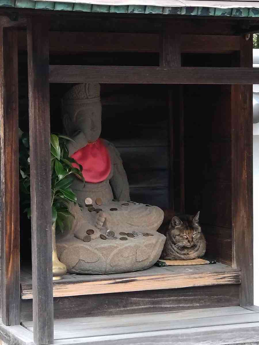 神社やパワースポットに行った後起きた、不思議な体験、ご利益体験part43
