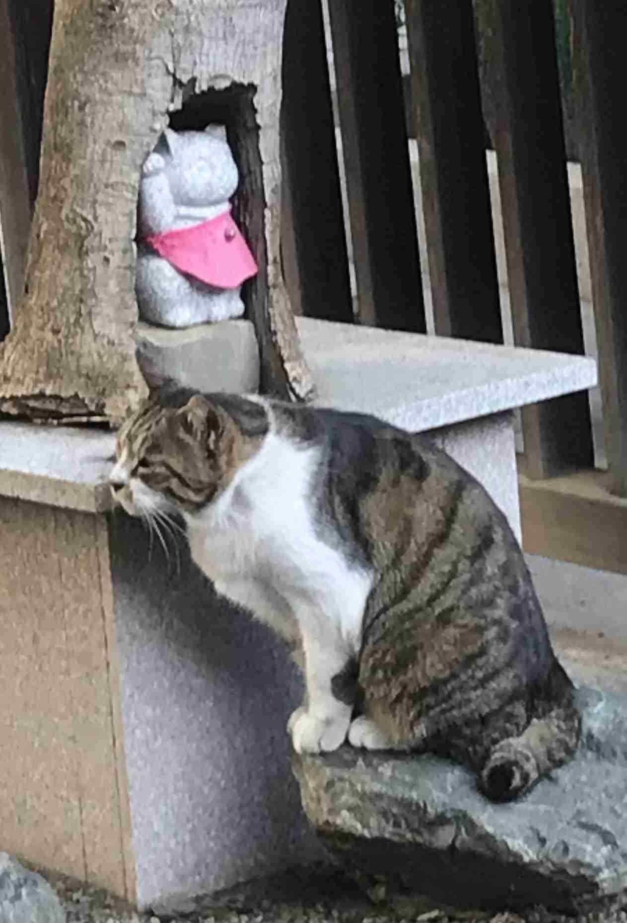 神社やパワースポットに行った後起きた、不思議な体験、ご利益体験part43