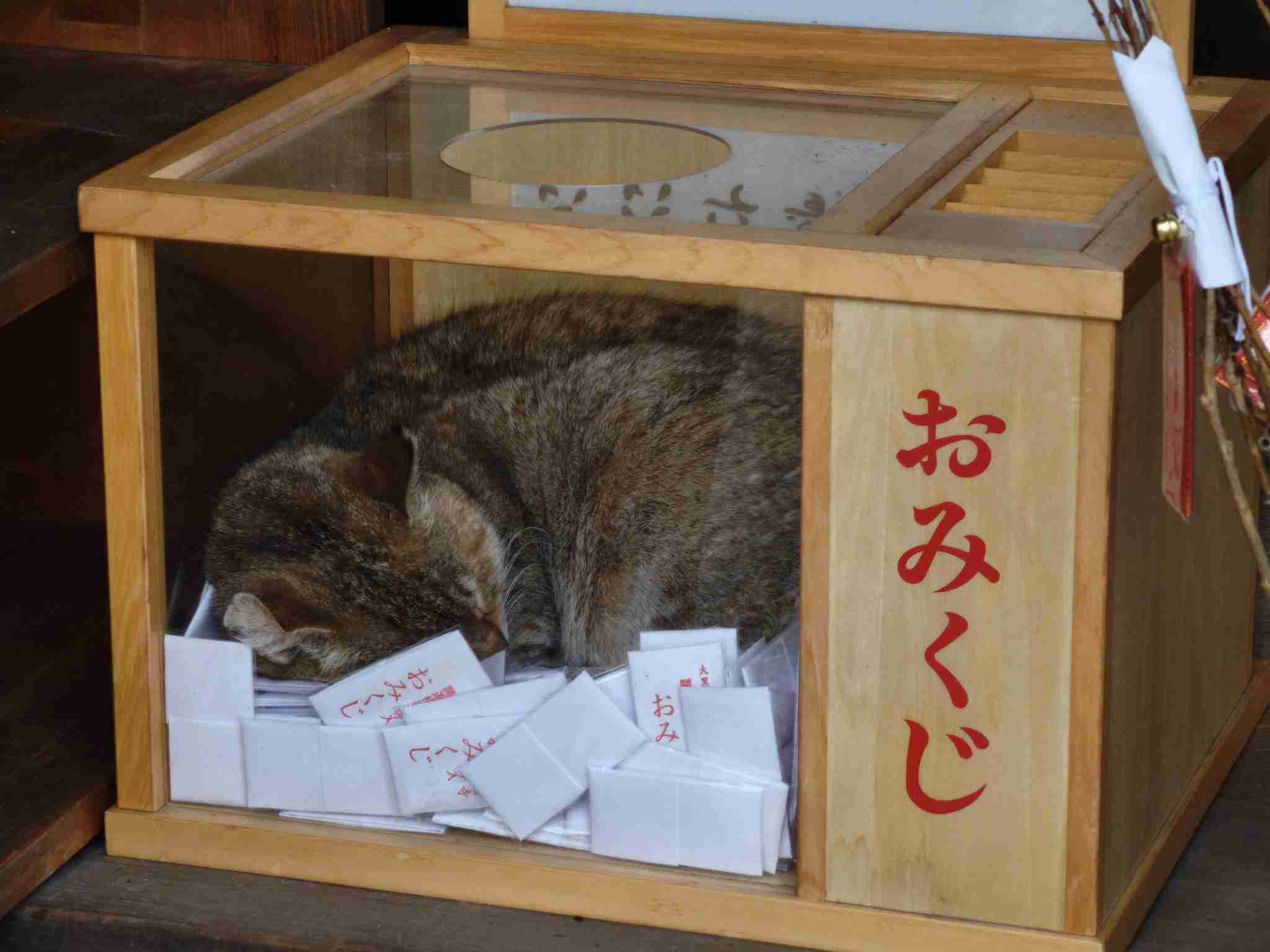 神社やパワースポットに行った後起きた、不思議な体験、ご利益体験part43