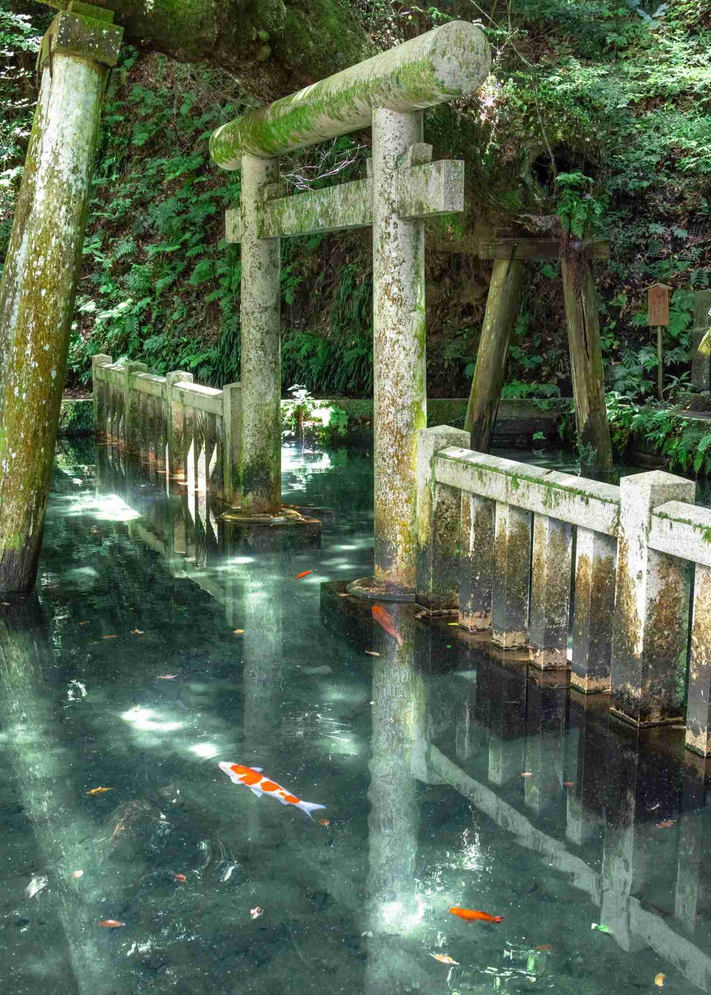 神社やパワースポットに行った後起きた、不思議な体験、ご利益体験part43