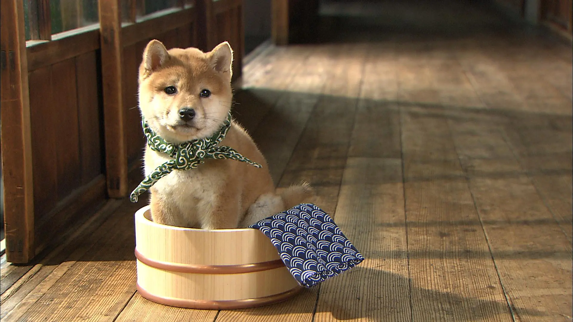 【LOUIS VUITTON】お値段に驚愕 「本物の柴犬のほうが…安い」　“ぬいぐるみ風バッグ” ＼＼ 133万円 ／／　「かわいいけど手が届かない（泣）」
