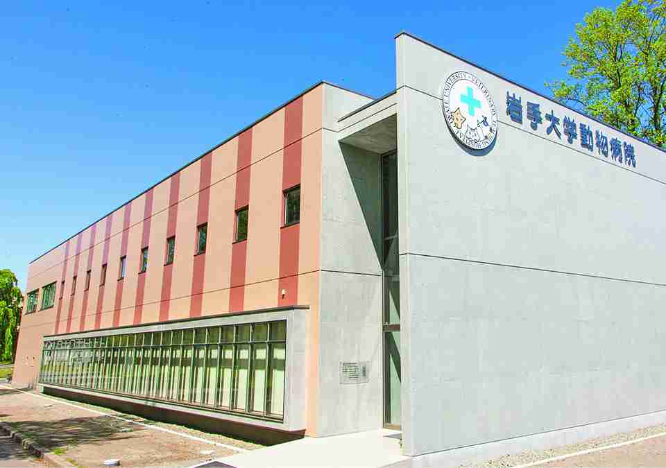 都会（特に首都圏）と田舎（地方）って、どっちの方が学歴社会だと思いますか！？