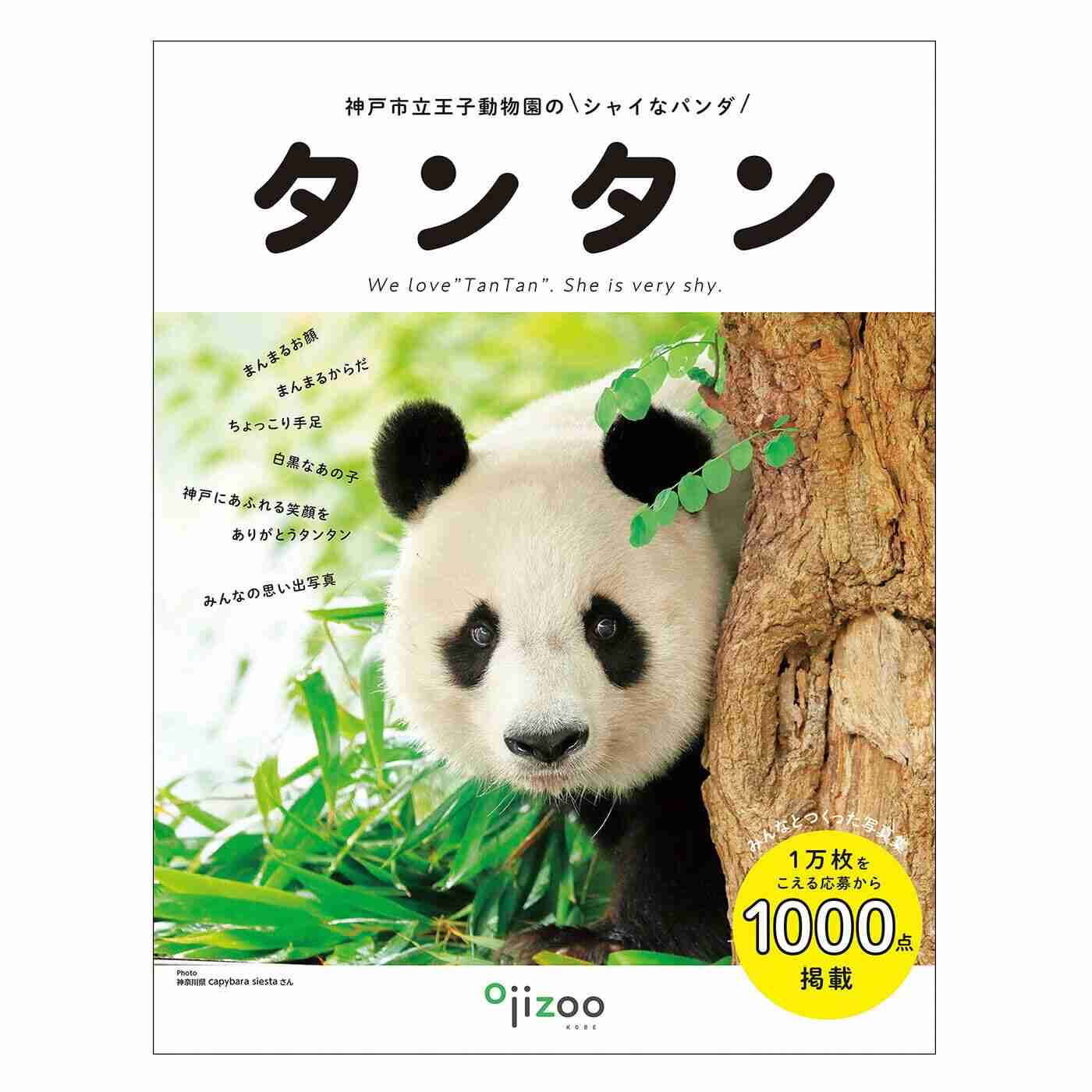 会社で淡々とキレたことありますか?