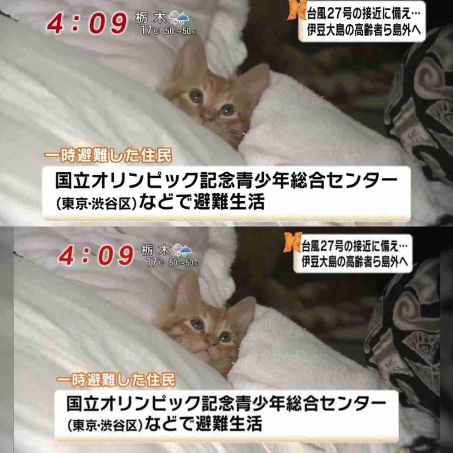 生きるのが時々虚しくなる…