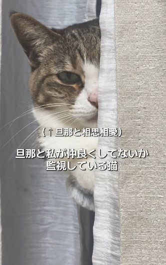 家族の会話を教えてください