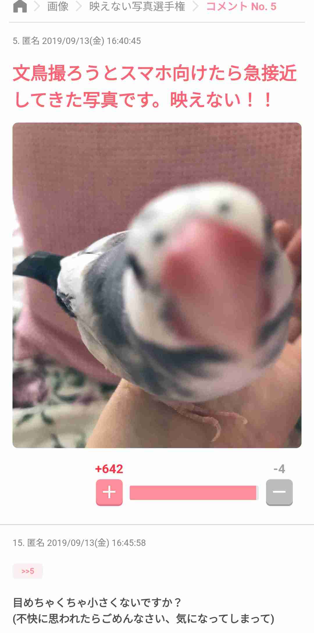 ガルちゃんで印象に残っているコメント