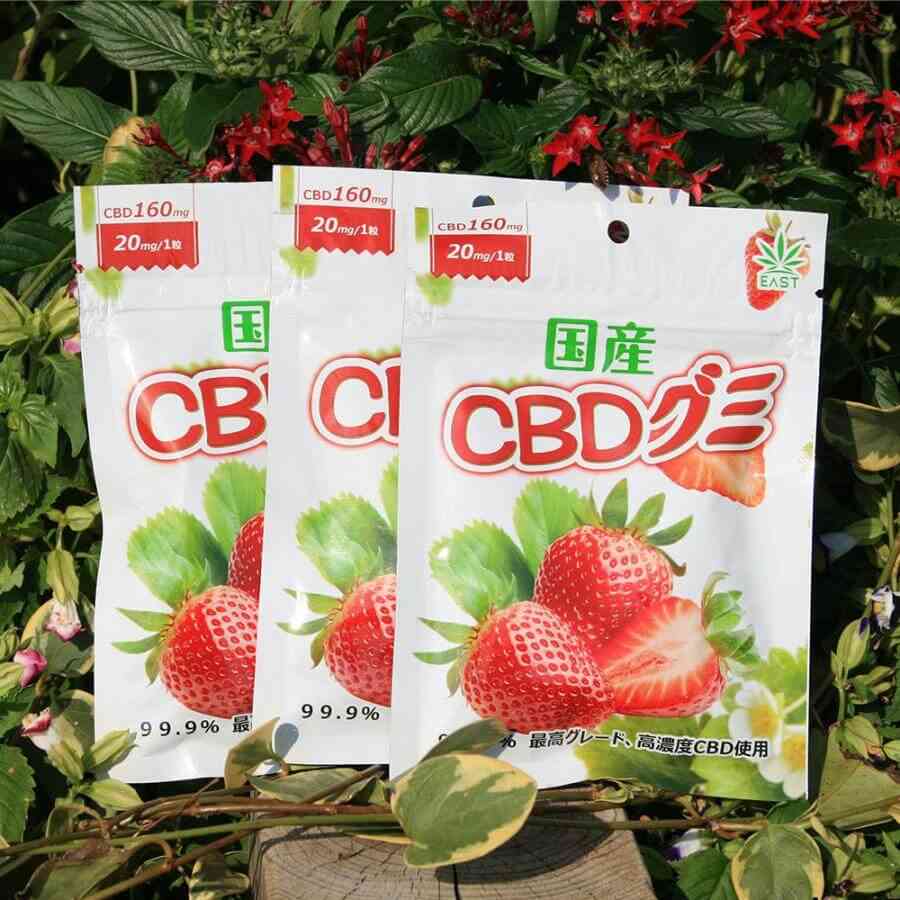 陸上自衛隊・海田市駐屯地10代の隊員3人 大麻使用の疑いで逮捕 自宅に駆け付けた時は錯乱状態 広島