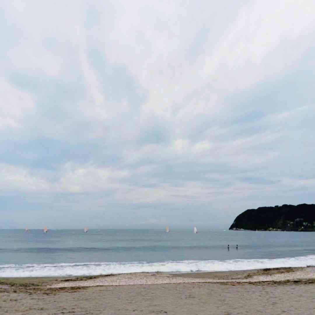 逗子・葉山エリアが好きな人🏝️