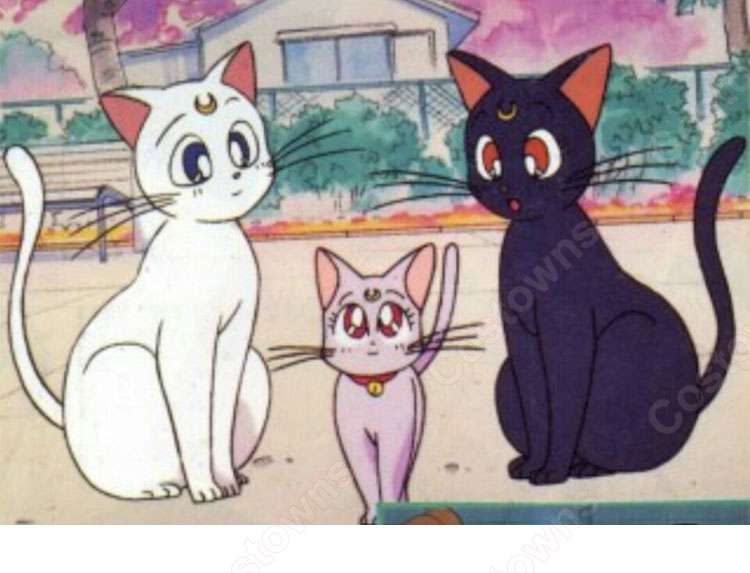 『セーラームーン』で好きなキャラクター Part5