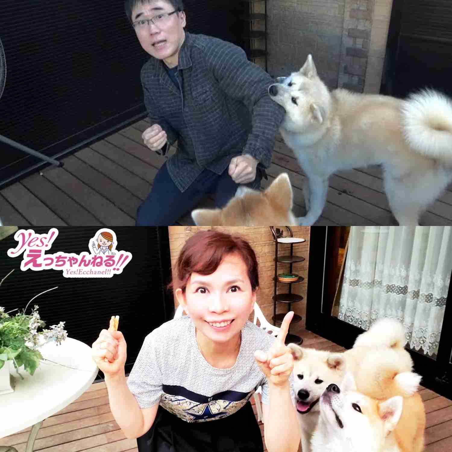 【犬の家庭ガチャ】生まれ変わるなら、どんな家の犬になりたい?