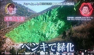 中国「茎レタス」に違法着色　業者6社を立件