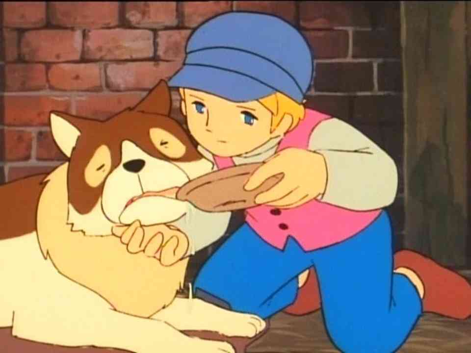 ペットの闘病してるいる方