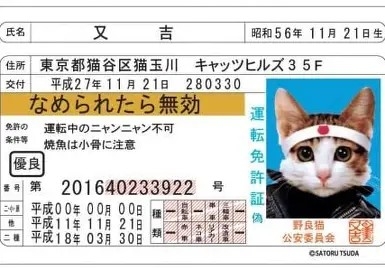 警察が苦手な方