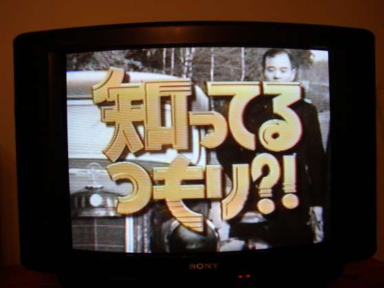 身近に知ったかぶりをする人いますか?