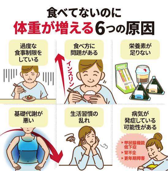 体重増加を止めたい