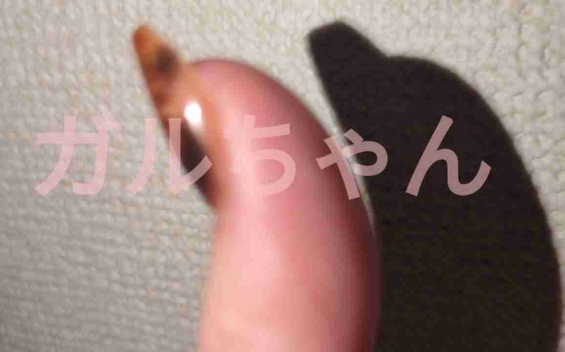 反り爪の人