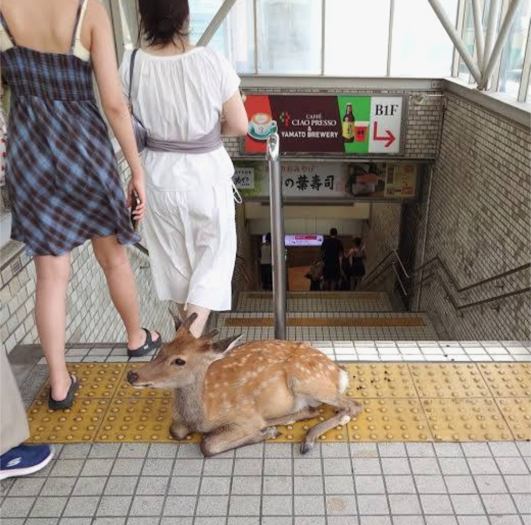 寝る前にクスッとする画像part10