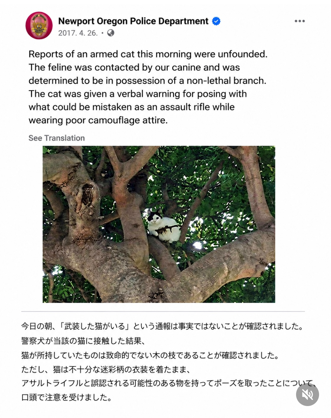 寝る前にクスッとする画像part10