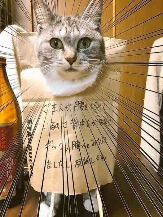 寝る前にクスッとする画像part10