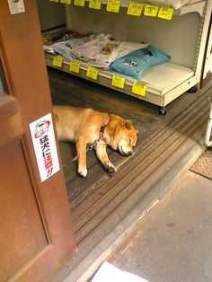 寝る前にクスッとする画像part10