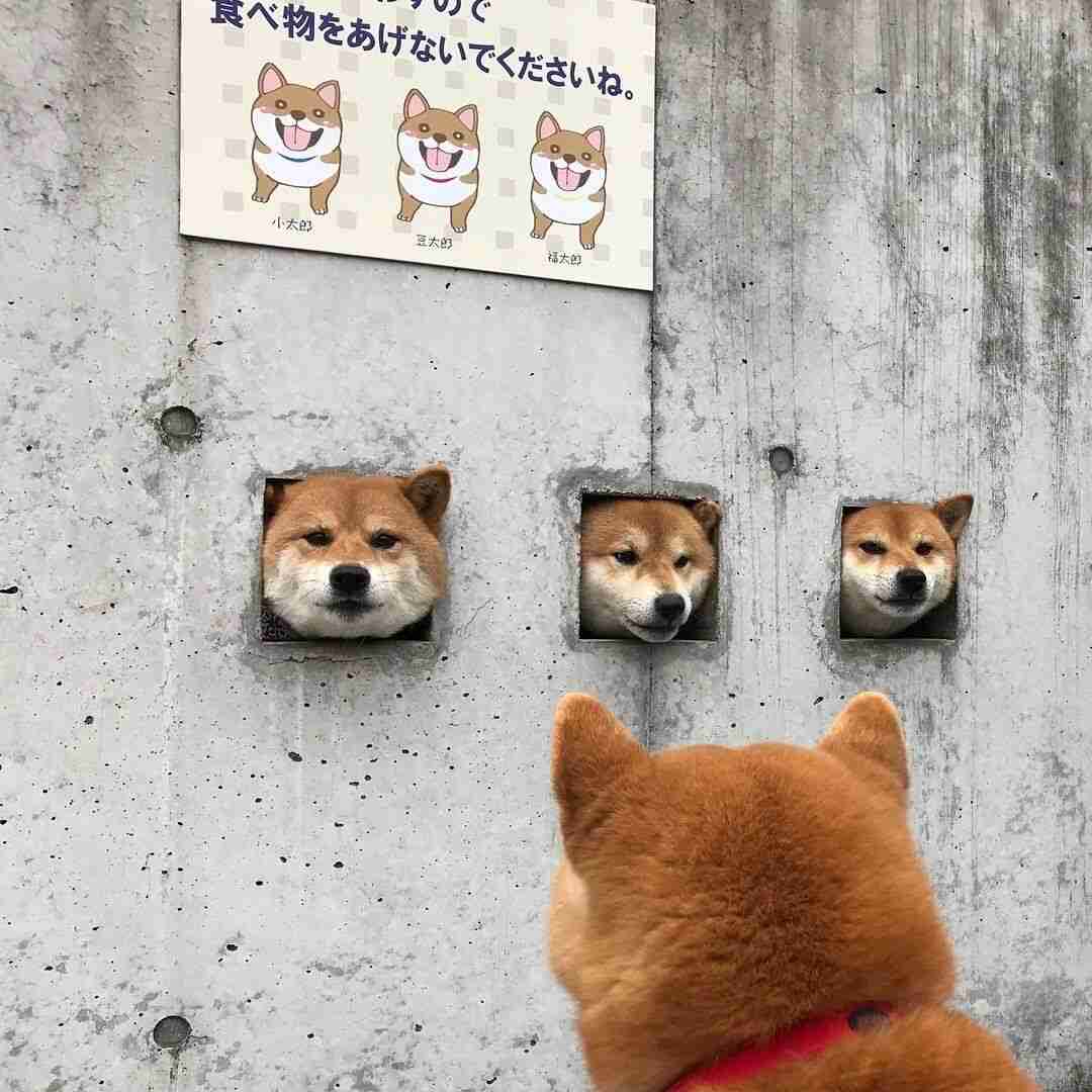 寝る前にクスッとする画像part10