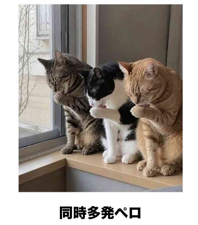 寝る前にクスッとする画像part10