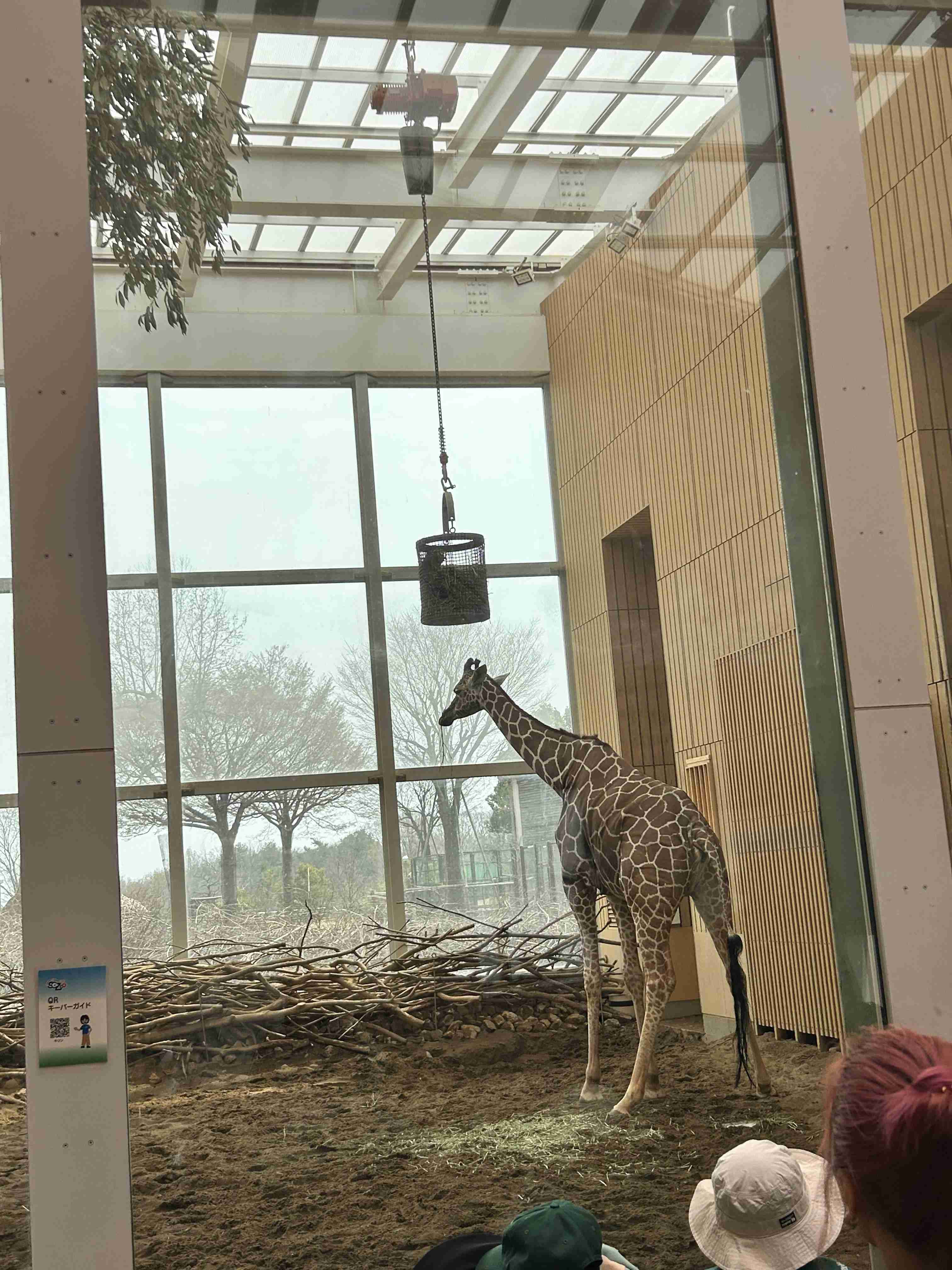 あなたのお気に入りの写真を見せてください