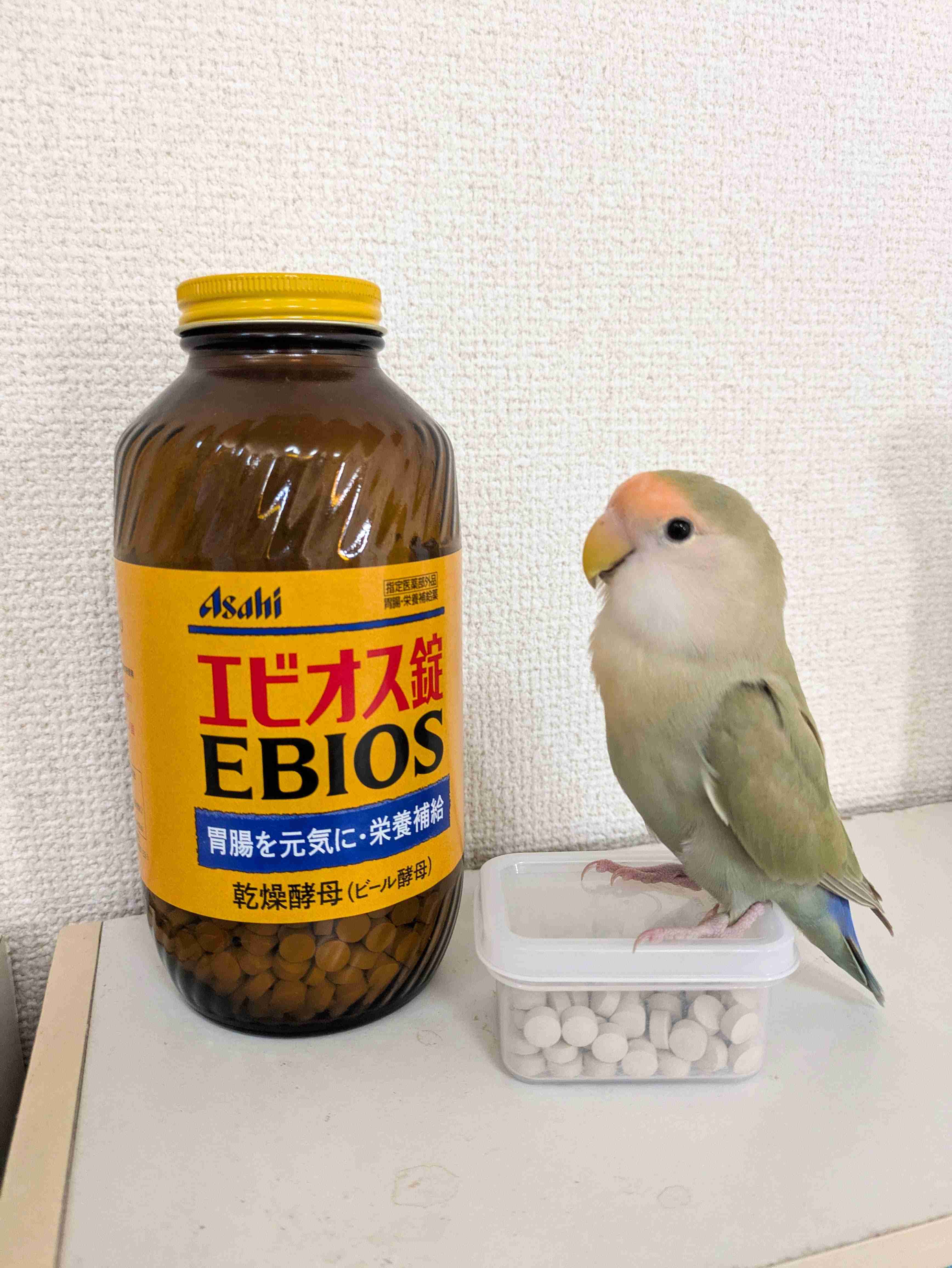 あなたのお気に入りの写真を見せてください