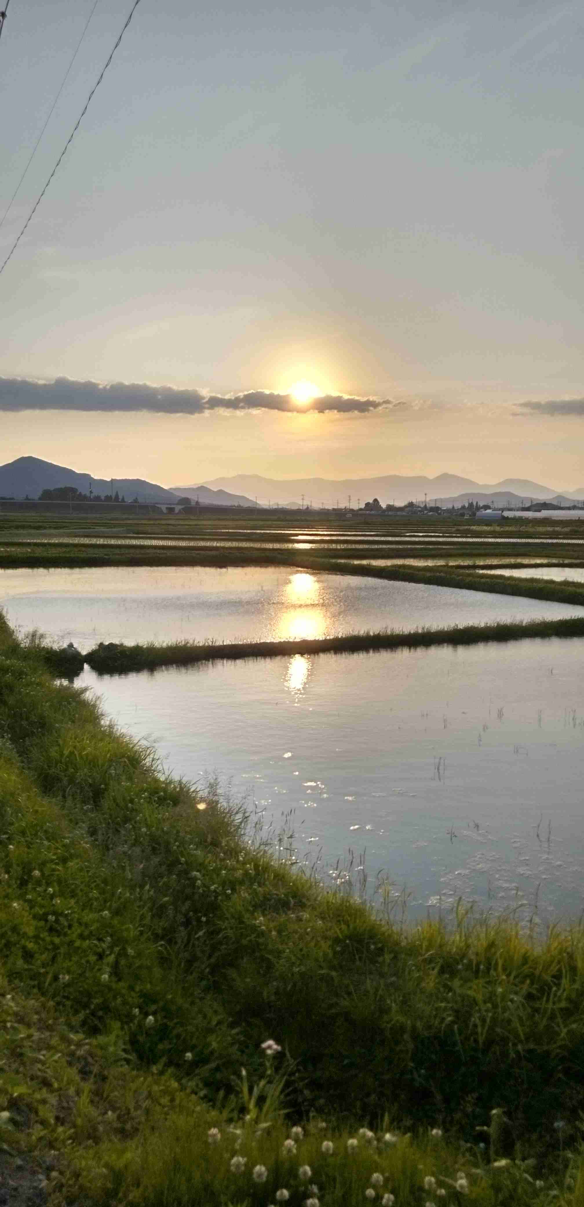 あなたのお気に入りの写真を見せてください