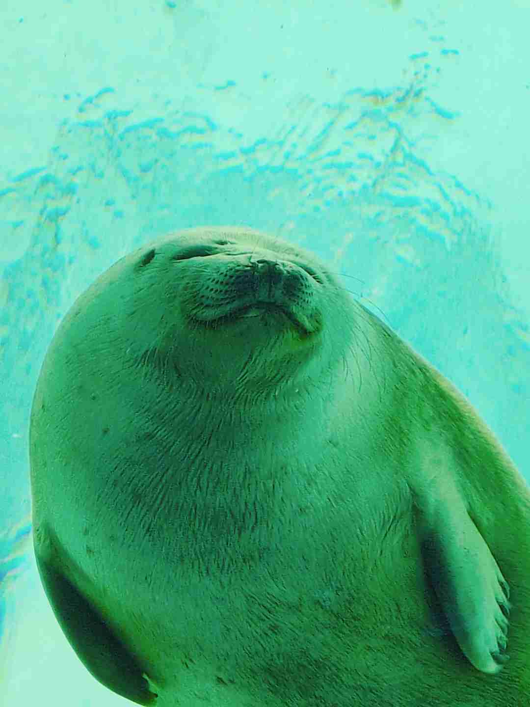 あなたのお気に入りの写真を見せてください
